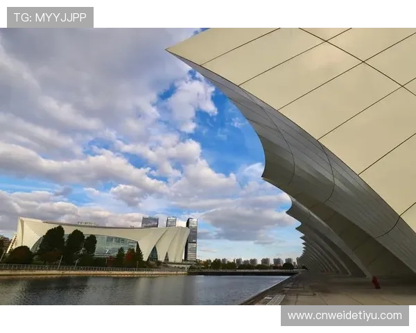 深入解析东方体育在推动中国体育产业发展中的重要作用与未来趋势